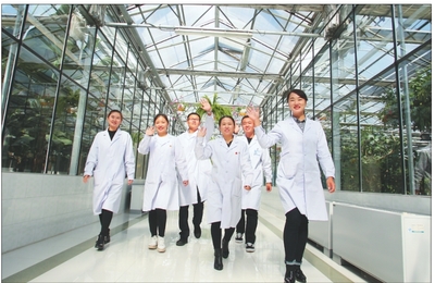 均龄32岁:青春的风采--记北大荒建三江国家农业科技园区研发中心团队